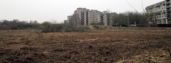 valdor_23mars2013.jpg