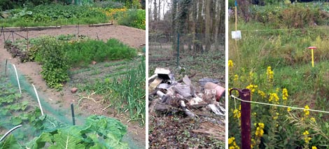 Potagers à WSL
