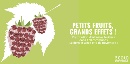 Action petits fruits...