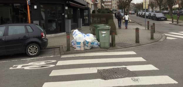 trash_chevalier