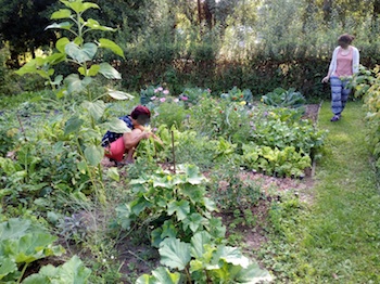 Potagers