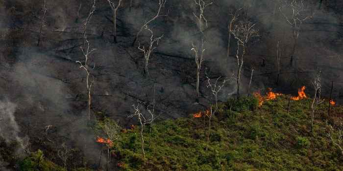 Incendies Amazone Incendies Amazone